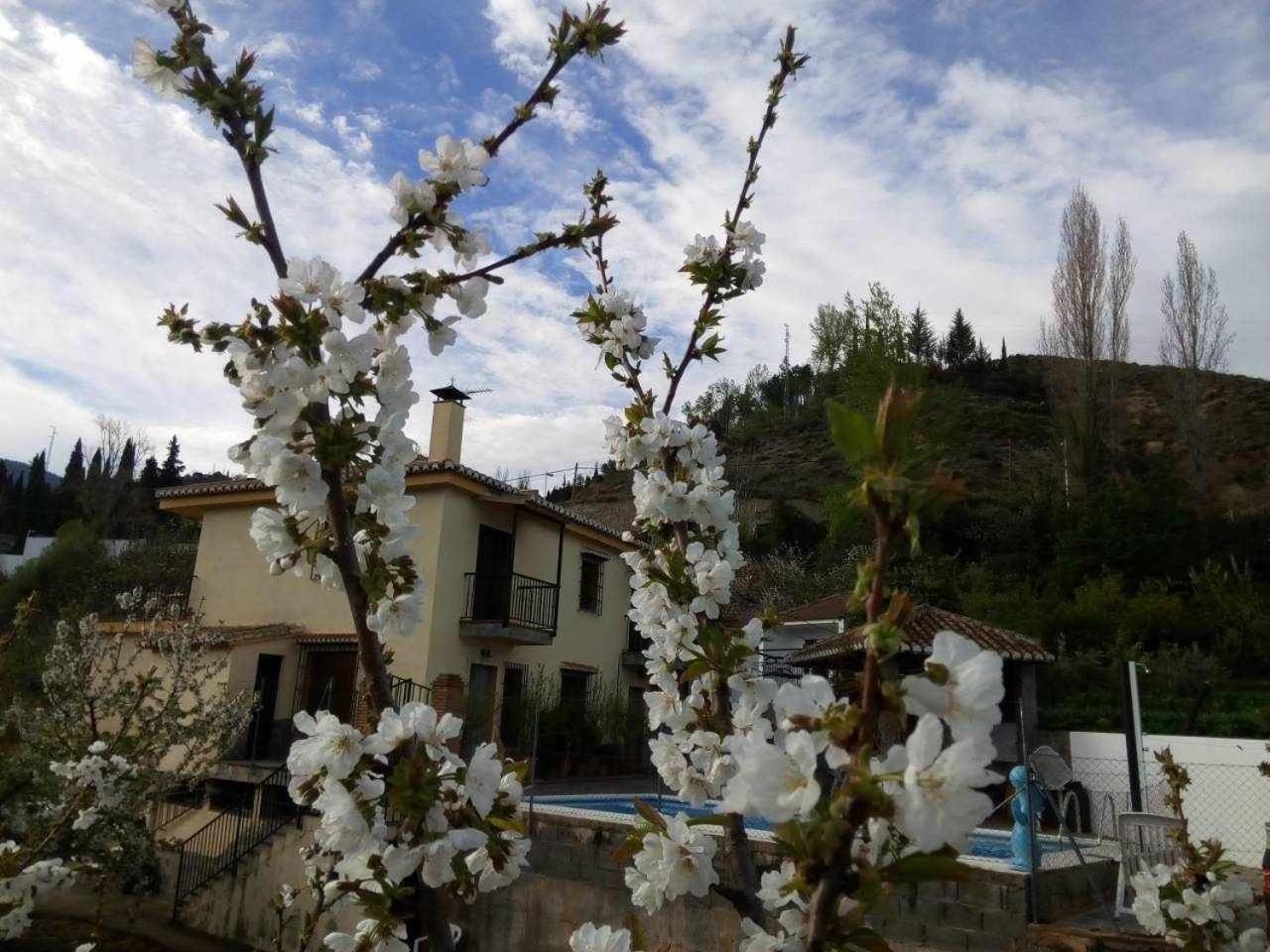 Casa Rural Las Huertas De Roque Monachil Bilik gambar